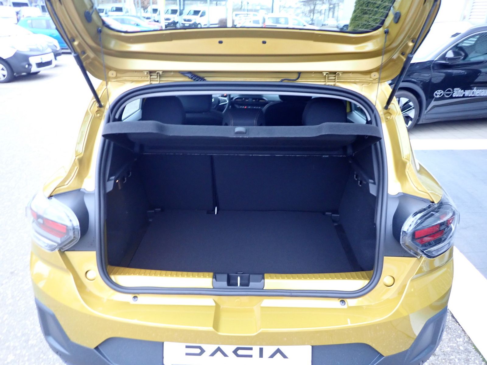 Fahrzeugabbildung Dacia Sandero Stepway Extreme TCe 110