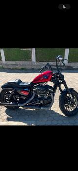 Harley-Davidson Roadster 1200 - HARLEY-DAVIDSON ROADSTER 1200