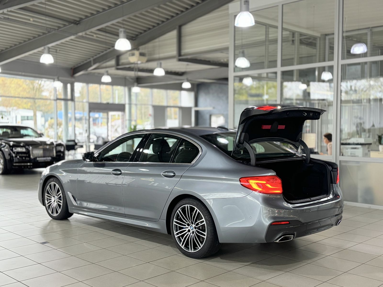 Fahrzeugabbildung BMW 530d M Sport Glasdach Kamera Komfort Alarm 19"