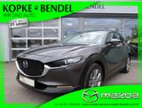 Mazda CX-30 Selection*abn AHK*lückenlose Wartungshisto - gebrauchte Mazda CX-30 aus dem Jahr 2022
