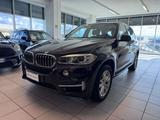 BMW X5 X5 sDrive25d Business - BMW X5 mit Diesel-Antrieb: Braun