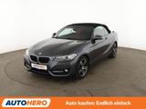 BMW 2er 220i Sport Line Aut.*NAVI*BI-XENON*TEMPO*PDC - BMW: 2er