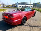 Mercedes-Benz CLK 200 KOMPRESSOR ELEGANCE Elegance - rote Mercedes-Benz CLK 200