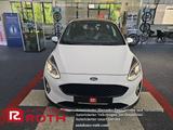 Ford Fiesta 1.0 EcoBoost Active X Pano/Tempom./Lenkra - Ford Fiesta: Active X