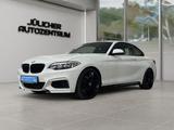 BMW 228i Coupé M Sport, Inspektion neu, 8x bereift - BMW: X8