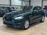 Jaguar F-Pace F-PACE Prestige AWD - Jaguar: Grün
