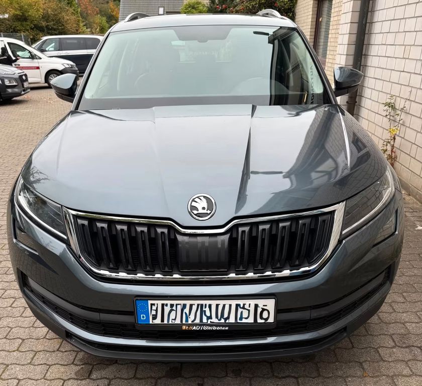 Image of Skoda Kodiaq