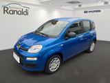 Fiat Panda MILD-HYBRID++TAGESZULASSUNG!+HAMMERPREIS! - Fiat Panda mit Hybrid-Antrieb