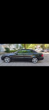 Mercedes-Benz CLK 200 KOMPRESSOR AVANTGARDE - : Cabrio, Mercedes Cl