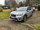 Subaru Forester 2.0ie Platinum Lineartronic*AHK - Subaru Forester Platinum mit Benzin-Antrieb
