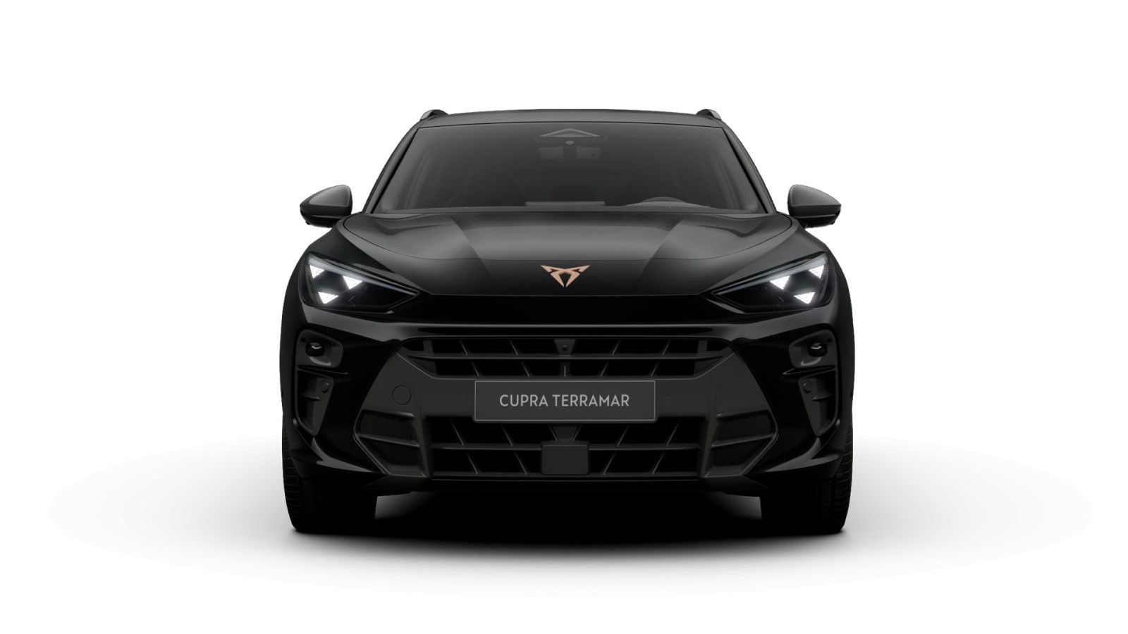 Cupra Terramar VZ 1.5 e-HYBRID 6-Gang-DSG imagem 2
