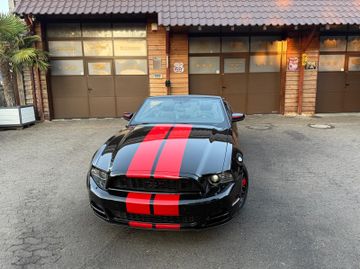 Ford Mustang - 6