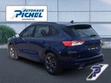 Ford Kuga PHEV ST-Line KEYFREE+NAVI+WINTER-PAKET - mit Hybrid-Antrieb: Pickup