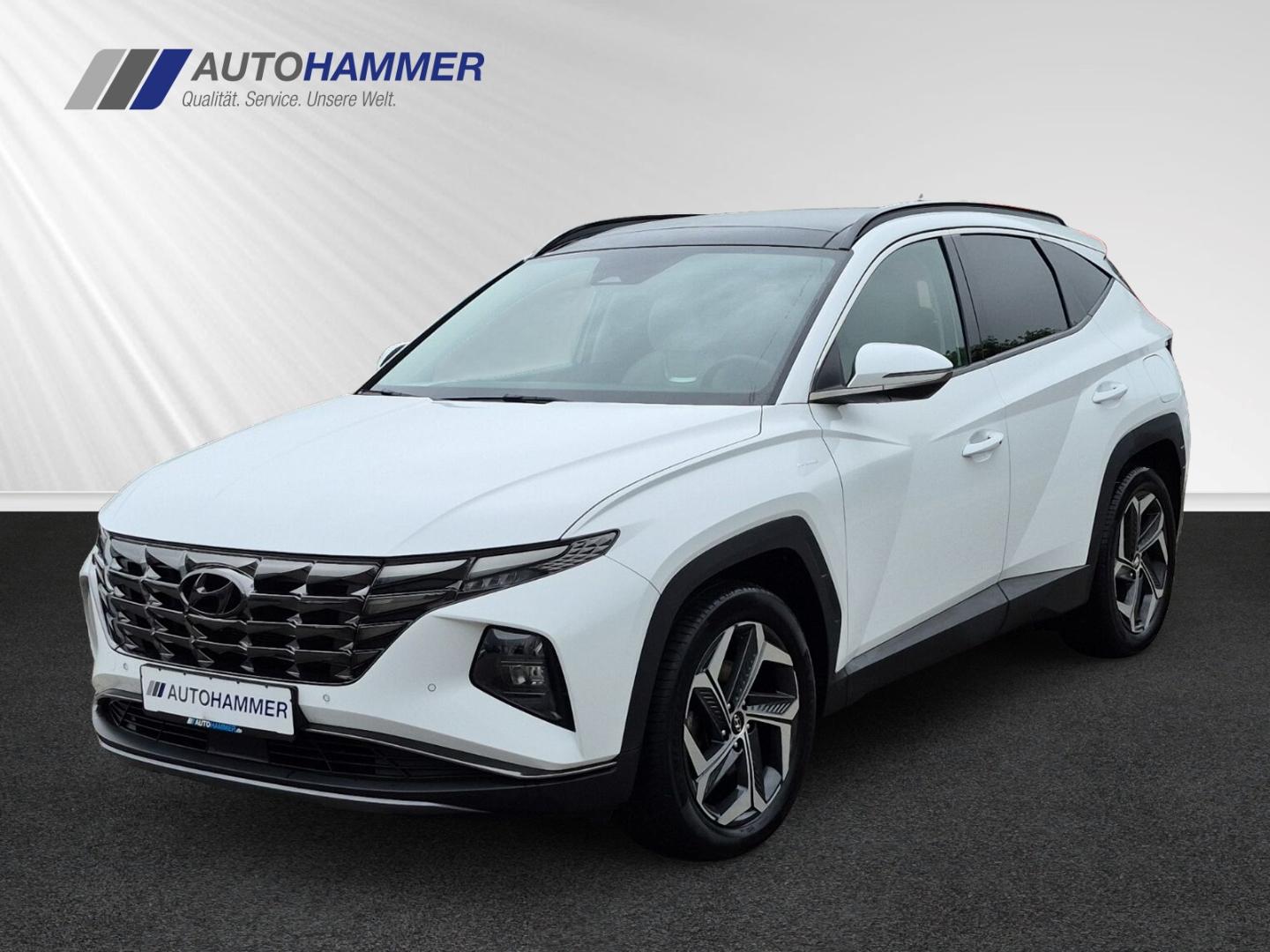 Hyundai Tucson Plug-In Hybrid 4WD PRIME Navi Leder el.SD