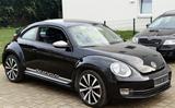 Volkswagen Beetle 2.0Turbo Sport DSG Leder TOP - Volkswagen Beetle: Turbo