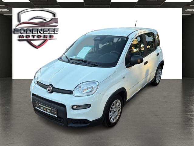 Fiat Panda Mild-Hybrid, Klima, ab 144,- € i. M.