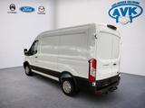 Ford Transit Kastenwagen Trend NETTO 31.990,- - Ford Transit: Kastenwagen