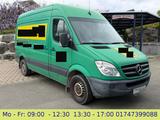 Mercedes-Benz Sprinter II Kasten 313 CDI Maxi Hoch AHK 3Si Tüv - Mercedes-Benz Sprinter: 313 Cdi Maxi