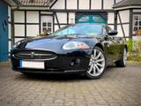 Jaguar XK 4.2L V8 Coupé Scheckheft Liebhaberfahrzeug - Jaguar XK: Coupe