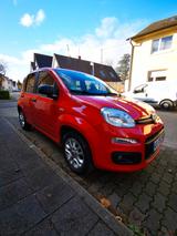 Fiat New Panda 1.2 8V POP POP - Fiat New Panda: Kleinwagen