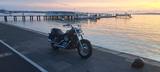 Kawasaki VN800 Classic - KAWASAKI CHOPPER VN 800