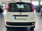 Fiat Panda 1.0 Urban **5-Türig*Klima*PDC** - gebrauchte Fiat Panda aus dem Jahr 2021