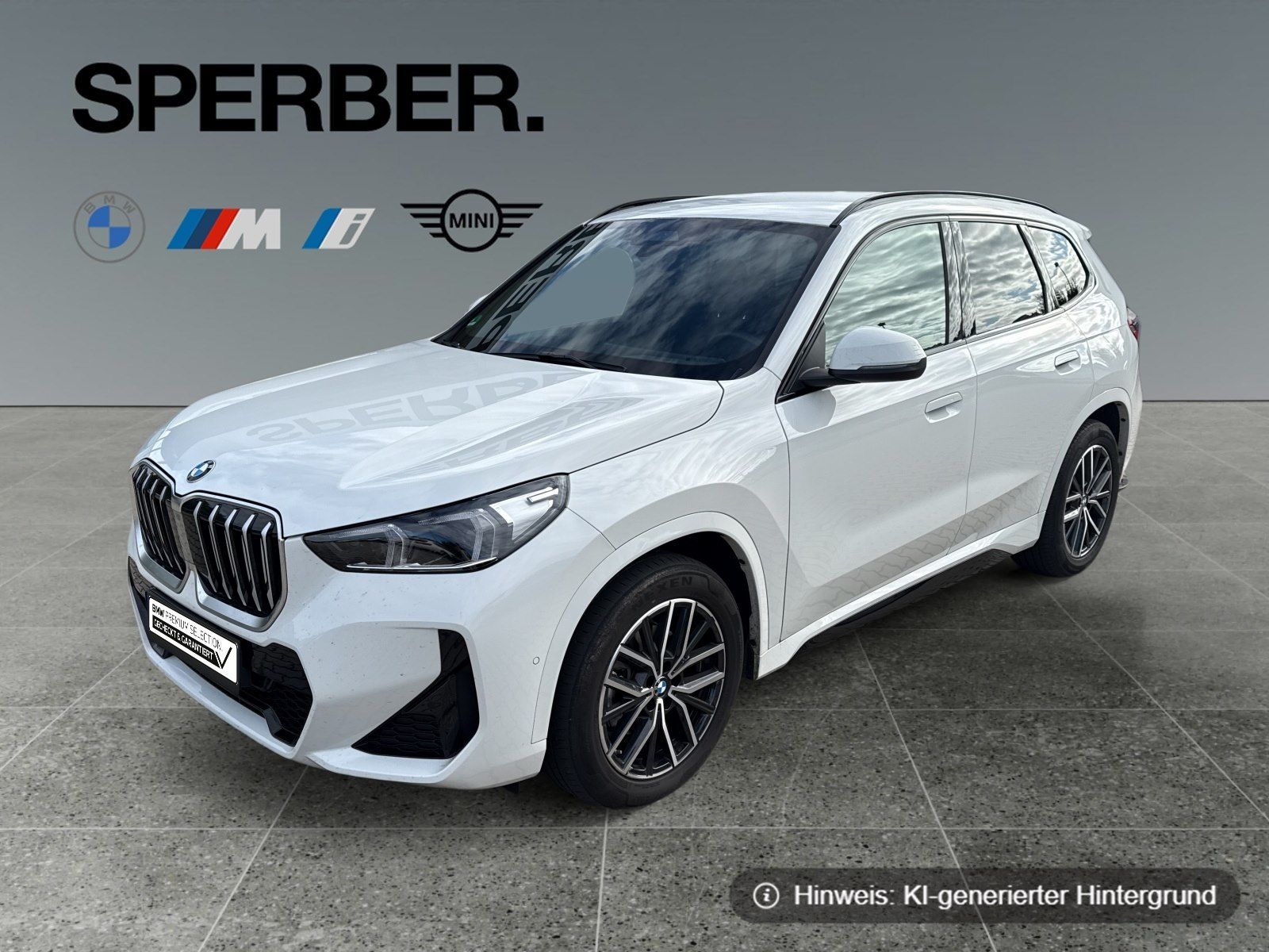 BMW X1 xDrive20d M Sportpaket AHK 18 Zoll LED DAB foto 1