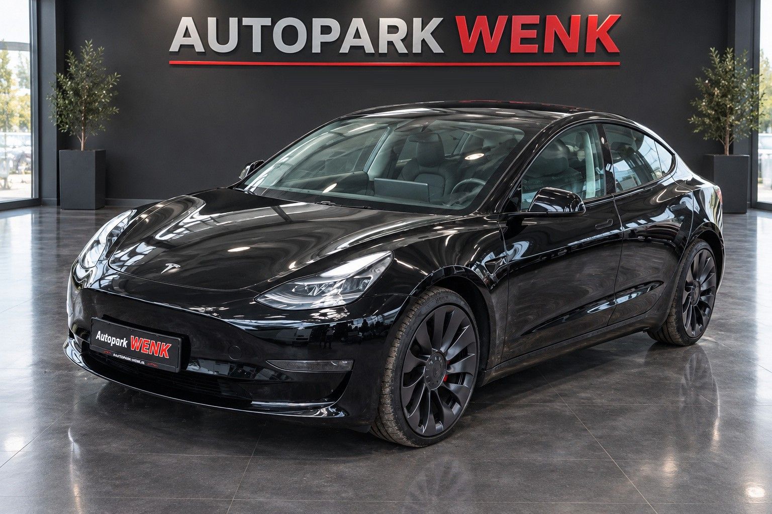 Tesla Model 3 Performance Dual AWD foto 2