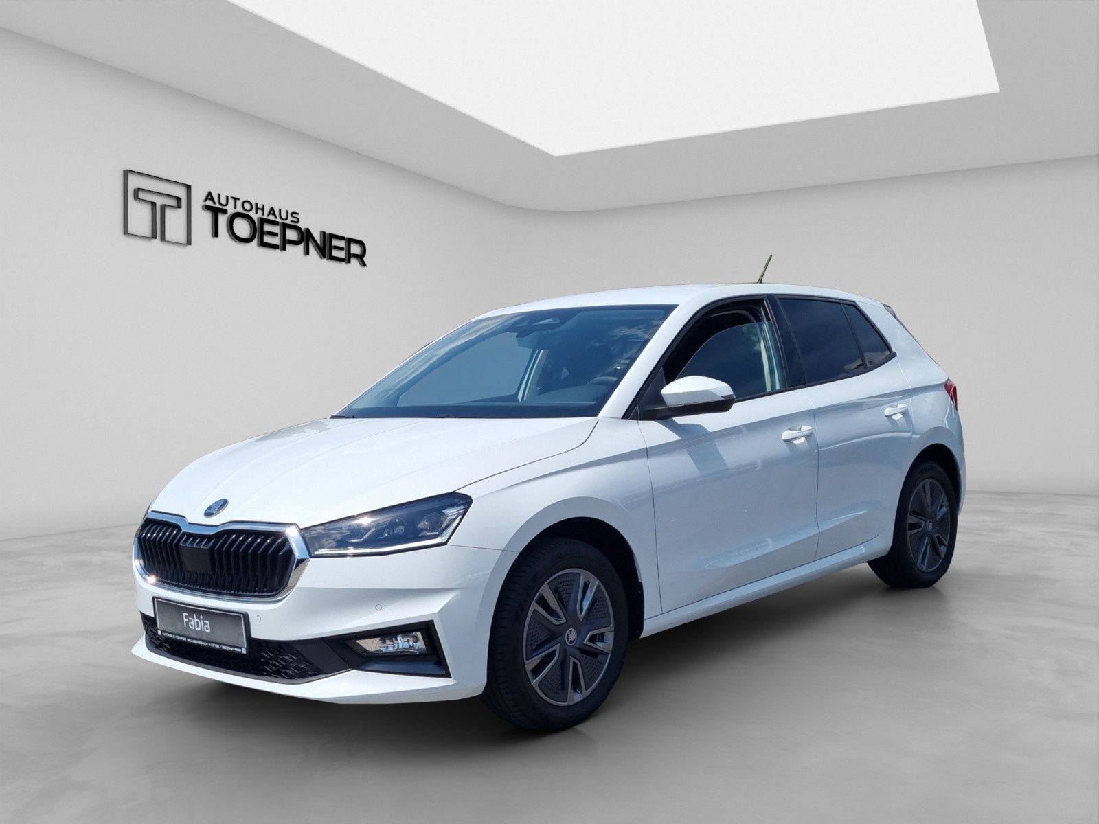 Fahrzeugabbildung SKODA Fabia Balance 1,0 TSI
