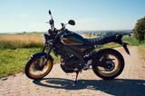 Yamaha XSR125 Legacy - EZ 2024 - Sport Heritage 125er - YAMAHA XSR125 LEGACY