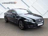 Jaguar XJ 3.0d V6 Supersport Lang Mega Ausstattung - Jaguar: Grün