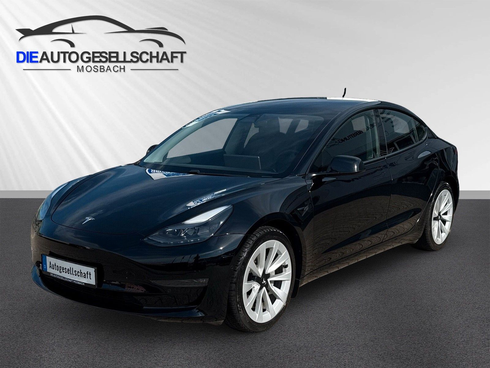 TESLA Model 3 Long Range Dual AWD 19%MwST