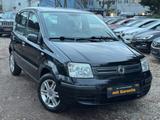 Fiat New Panda 1.2 TÜV NEU*Klima*City*5 Gang - Fiat New Panda: Limousine