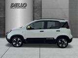 Fiat Panda Pandina Cross Hybrid Klima ZV Nebel Parkhi - Fiat Panda: Pandina