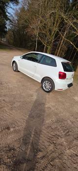 Volkswagen Polo 1.4 TDI 55kW LOUNGE LOUNGE - Volkswagen Polo: 1l4 TDI
