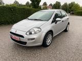 Fiat Punto Pop *Service Neu* - Fiat: Service