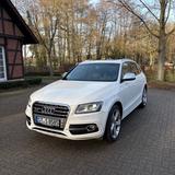 Audi SQ5 3.0 TDI V6 Quattro Navi AHK Pano SHZ 8-Fach  - weiße Audi SQ5