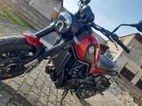 Benelli Leoncino 500 - BENELLI LEONCINO 500