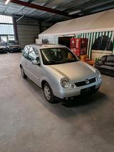 Volkswagen VW Lupo 1.6L 6X  Faltdach - Volkswagen: Kleinwagen, Faltdach