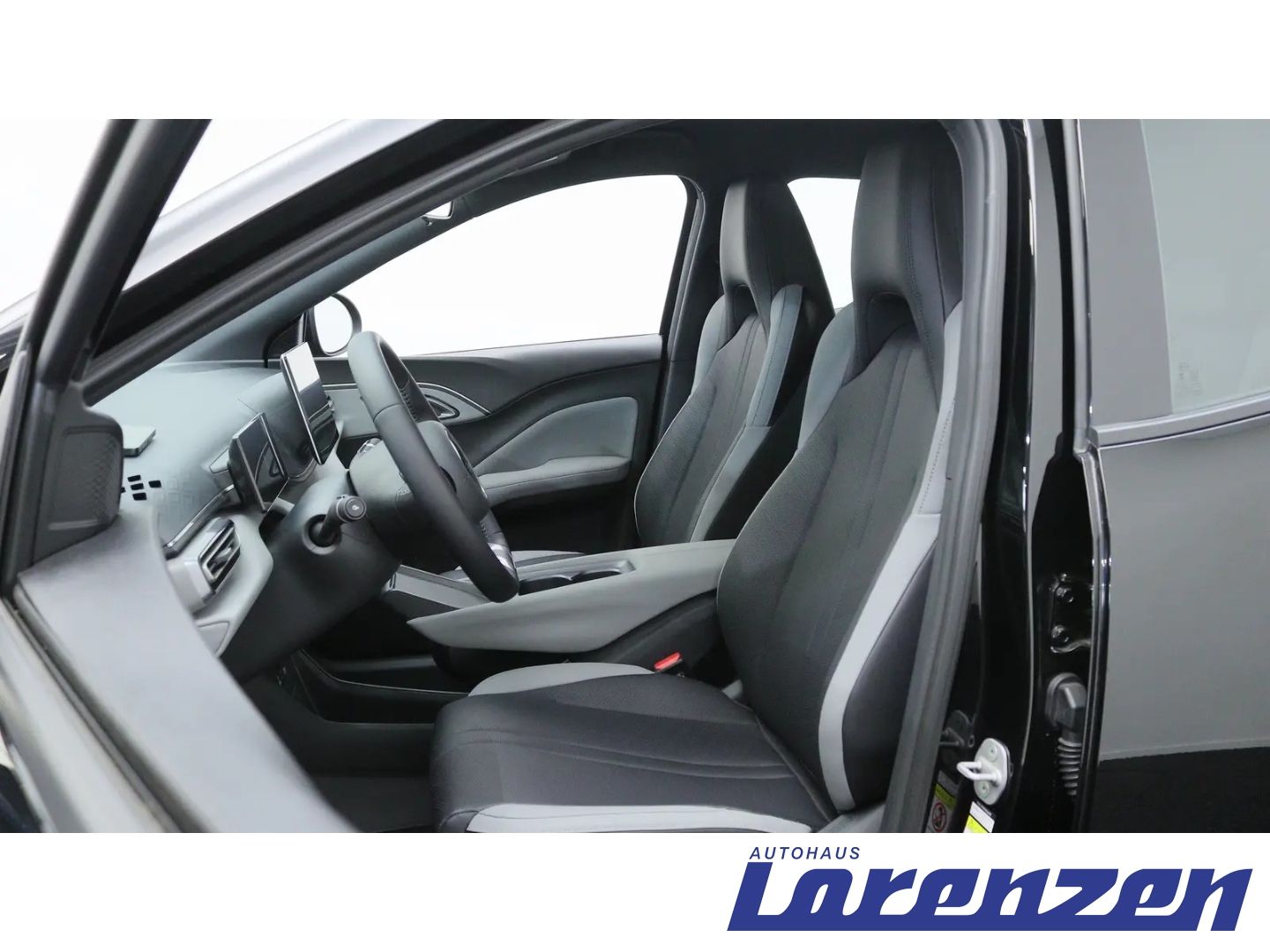 BYD DOLPHIN SURF