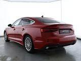 Audi A5 35 2.0 TDI Sportback S-Tronic|LED|CarPlay - Audi A5 35 TDI Gebrauchtwagen