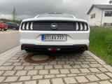 Ford Mustang 2.3 EcoBoost - - gebrauchte Ford Mustang aus dem Jahr 2018