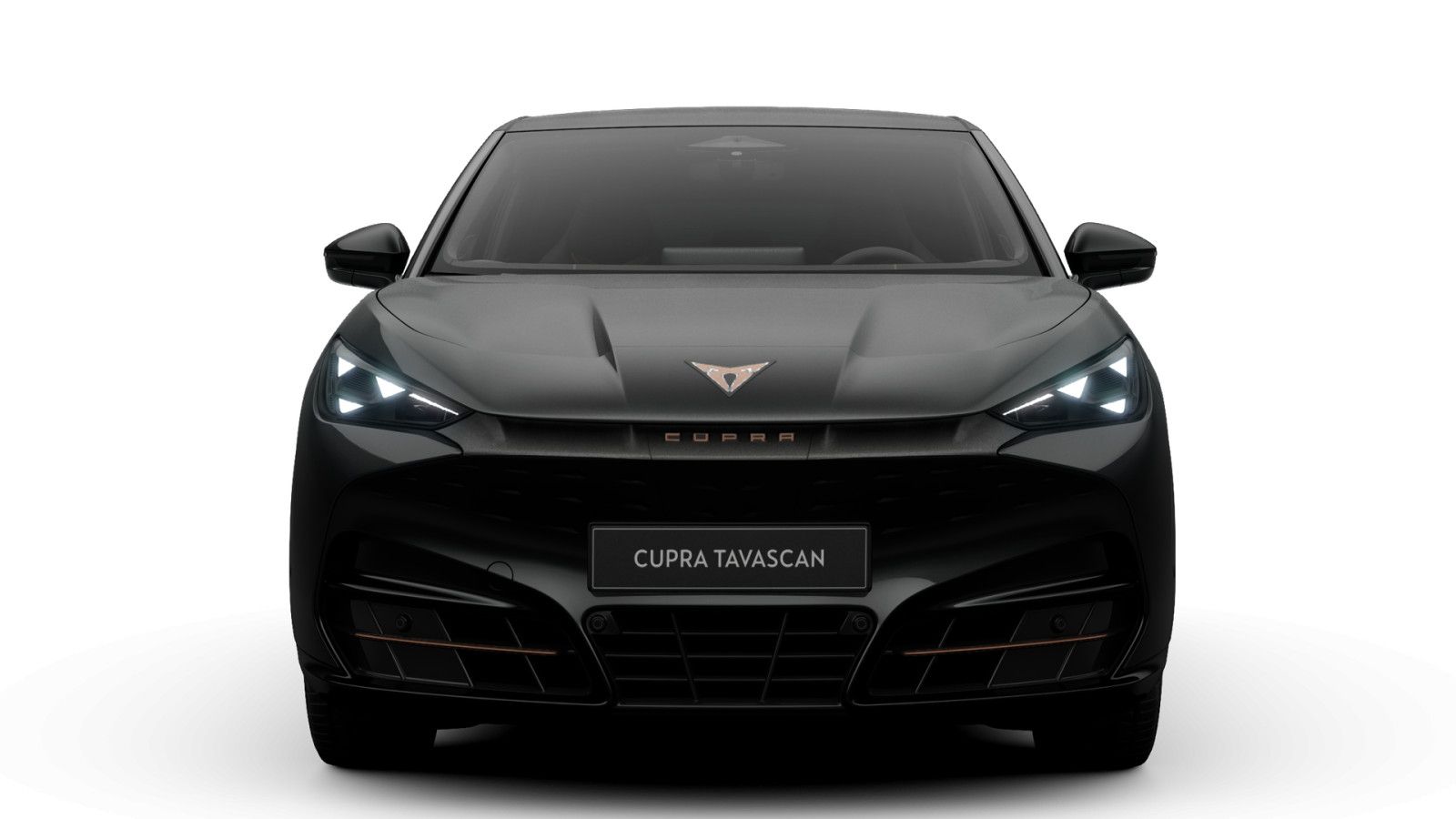 Cupra Tavascan Endurance 77 kWh imagem 3