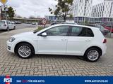 Volkswagen Golf 1.2 TSI BMT Cup SITZHZG+NAVI+PDC+HU NEU - Volkswagen Golf mit Benzin-Antrieb