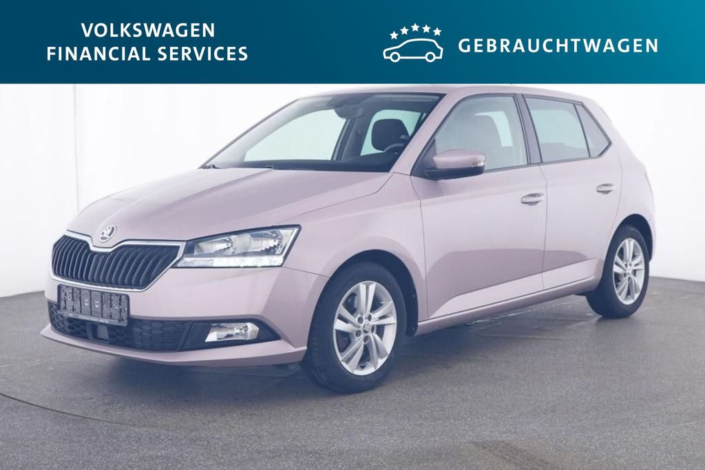 Skoda Fabia Style 1.0 TSI PDC*Tempo*Klima*SH