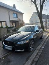 Jaguar XF 30d super gepflegt - Jaguar XF in Essen