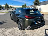 Lexus UX 250h Luxury Line Luxury Line - Lexus aus 2021