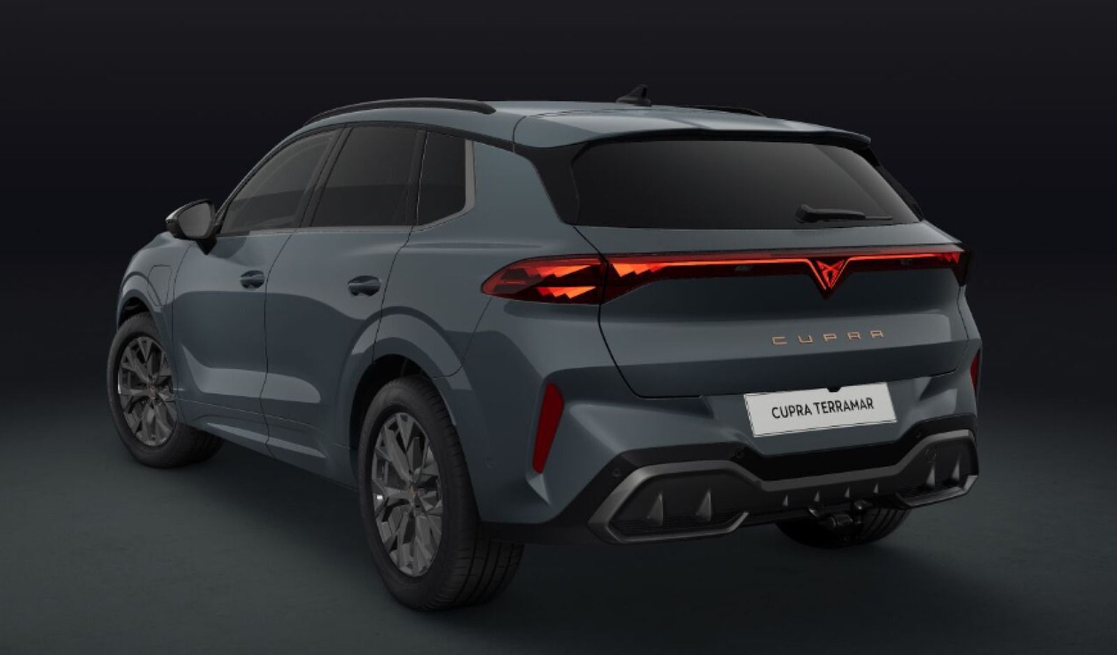 Cupra Terramar - Bild 2
