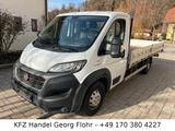 Fiat Ducato - Kastenwagen