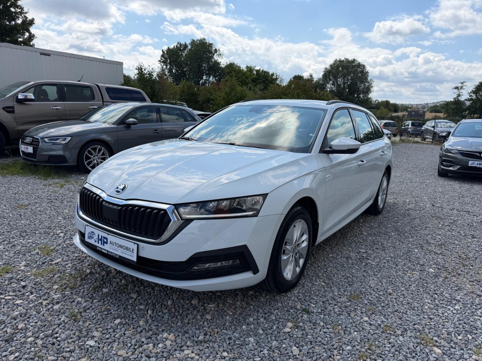 Skoda Octavia Combi 2.0 TDI Ambition/1.Hand/Standheiz.